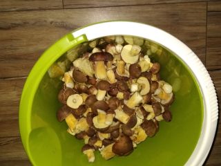 I will sell bay boletes. Feel free to contact
