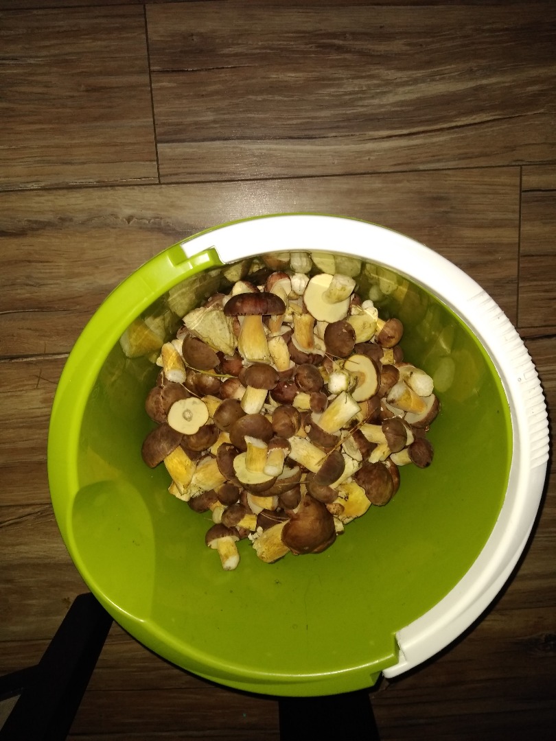 I will sell bay boletes