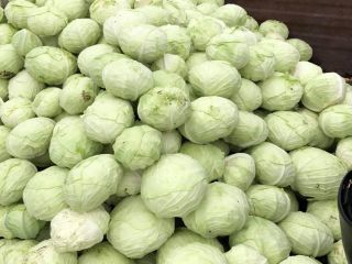 1kg-1.8kg / cabbage
