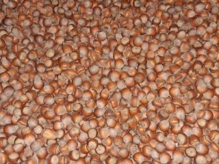I am selling 700 kg of clean and sorted