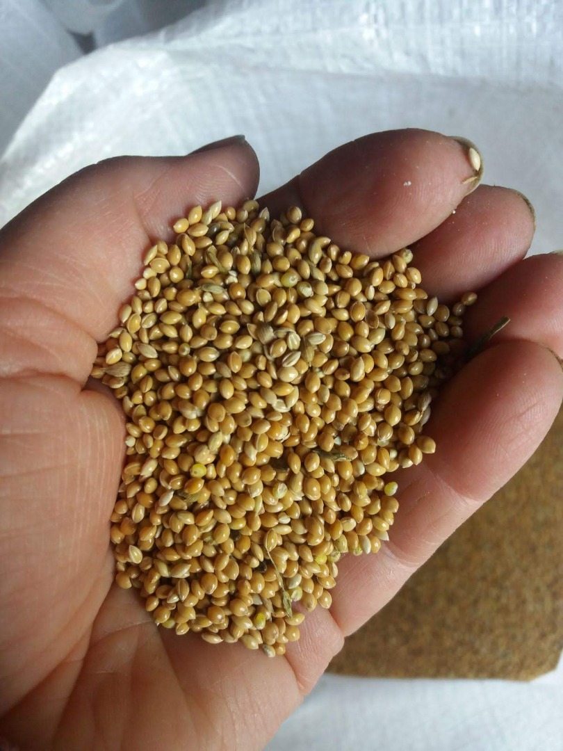 We offer millet produced in 2020