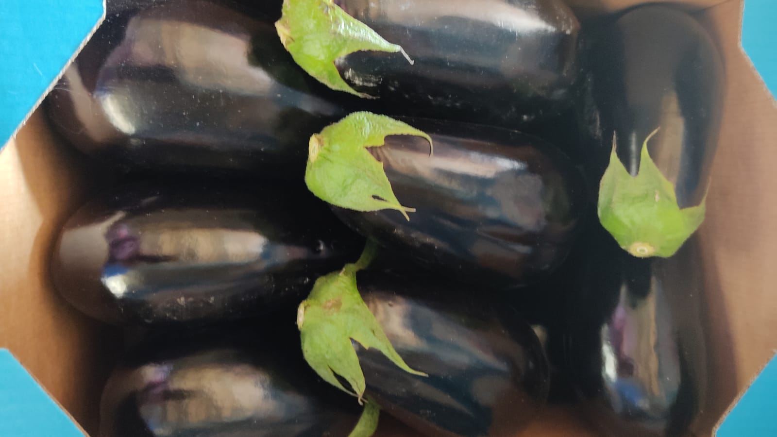 Hello, we have a first-class eggplant for sale, 10 cardboard pallets, I invite you to permanent cooperation