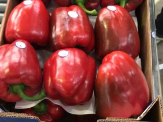 We offer 1 grade red pepper, California variety, packed