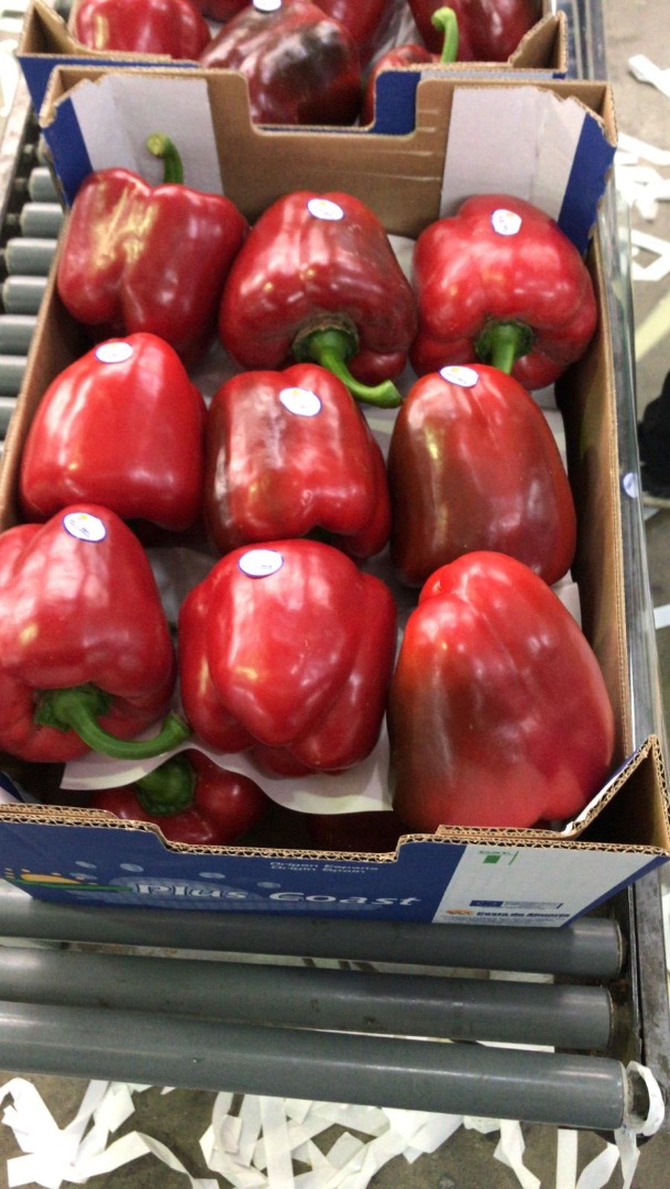 We offer 1 grade red pepper, California variety, packed in a 5 kg black cardboard box