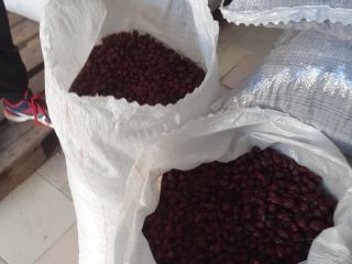 Hello, we have 45 tons of high quality rose