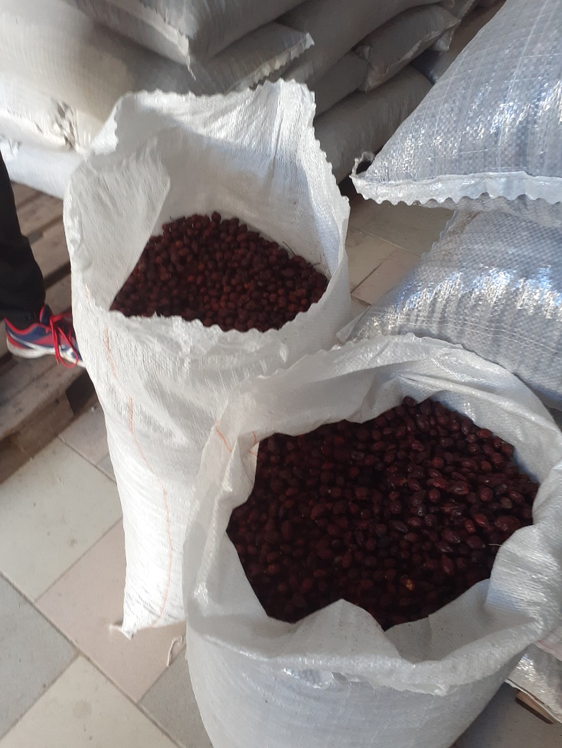 Hello, we have 45 tons of high quality rose hips in stock, harvest 2020