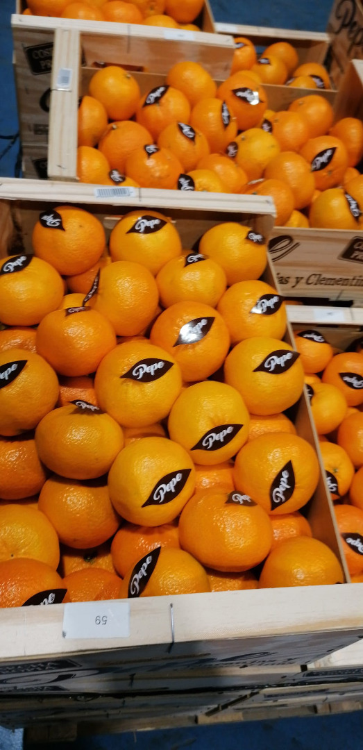 I will sell an orange and a mandarin from Spain