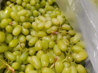 Grapes for sale 15k. seedless, origin Turkey, variety thompson.