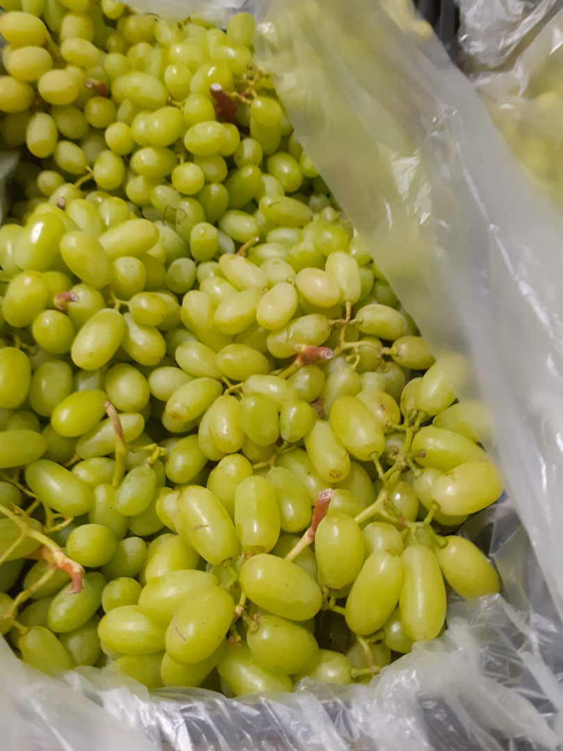 Grapes for sale, 15 k