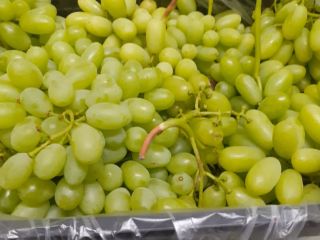 Urgent -For sale seedless grapes, 15 cal. At the