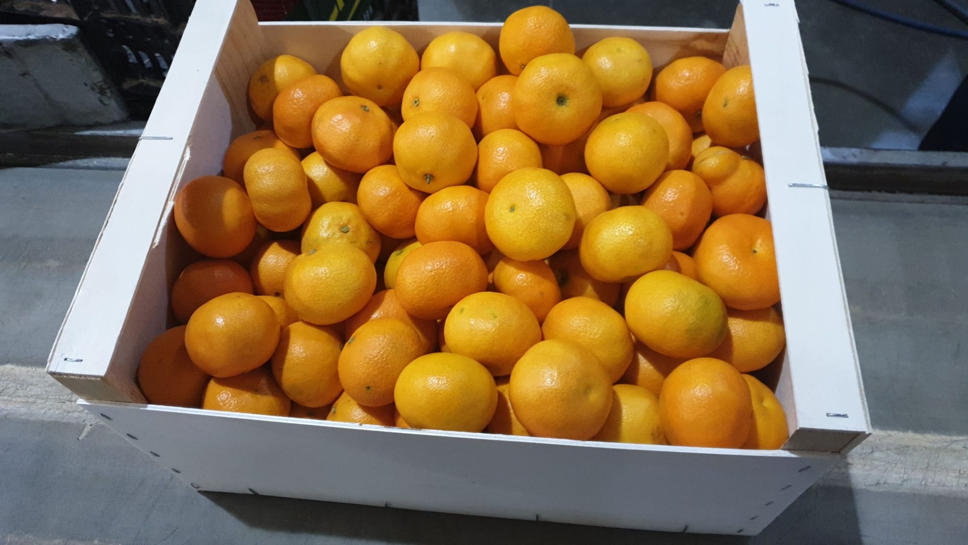 Clementine size 5.2 tons