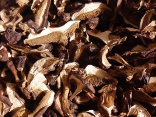I will sell dried bay boletes, cut, price per