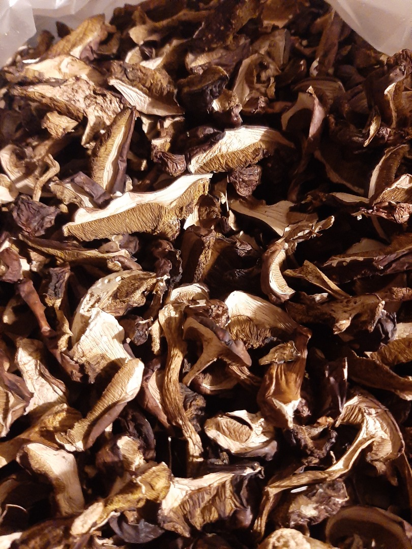 I will sell dried bay boletes, cut, price per kg 695,099,805