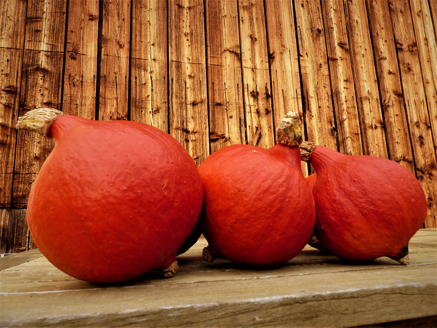 I will sell Hokkaido pumpkins