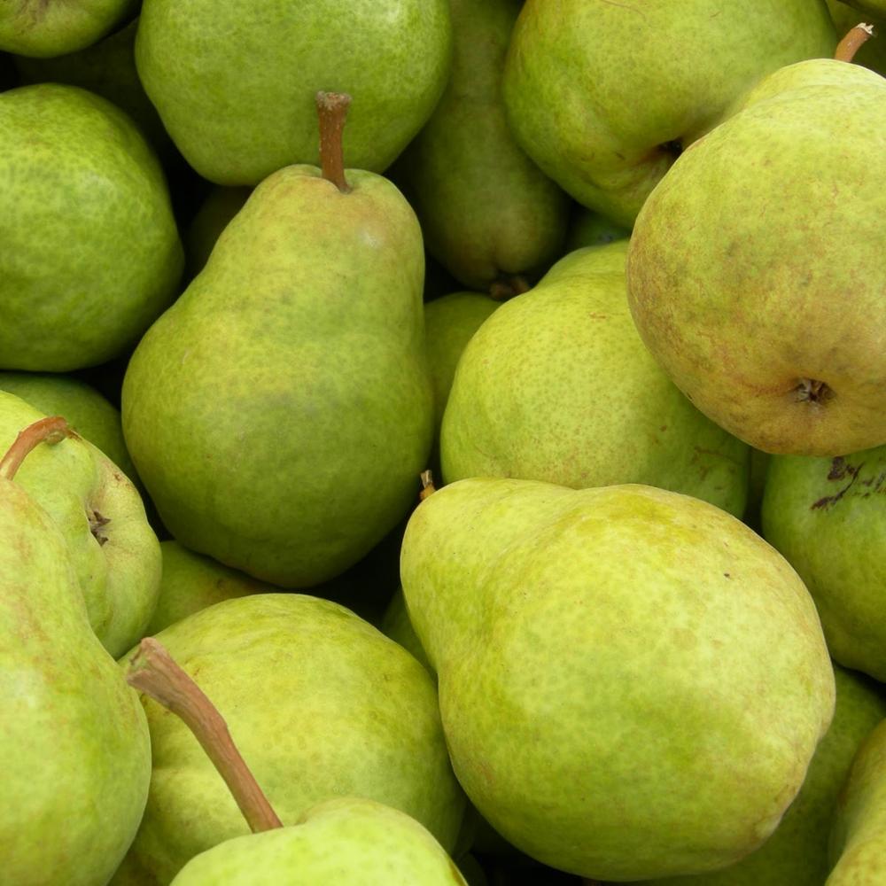 1> 5kg/CTN for size: 12,14,16,18,20 and 22 2> 9kg/CTN for size: 24,28,32,36,40 and 44 3> 10kg/CTN for size: 24,28,32,36,40 and 44 4> 15kg/ CTN for size: