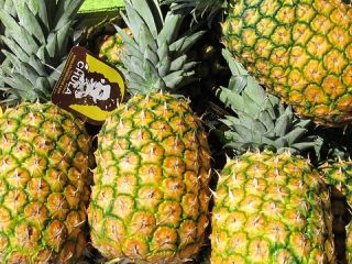 fresh pineapple from Direct supplier