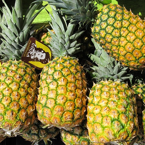 fresh pineapple from Direct supplier