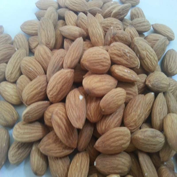 contact for nuts from Europe