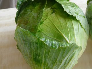 contact for fresh cabbage