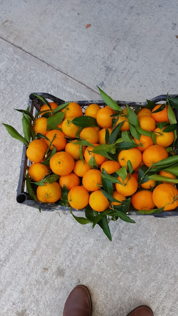 Straight from the farmer