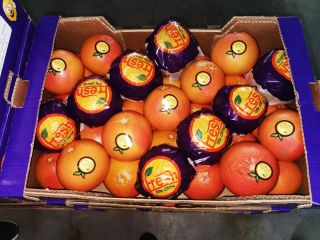 We invite you to buy red grapefruit, origin Turkey,