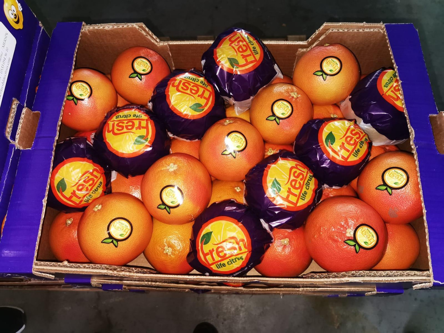 We invite you to buy red grapefruit, origin Turkey, price 4.6 net / kg