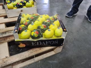 Hello, Lemon Majer 66 caliber and above, I have