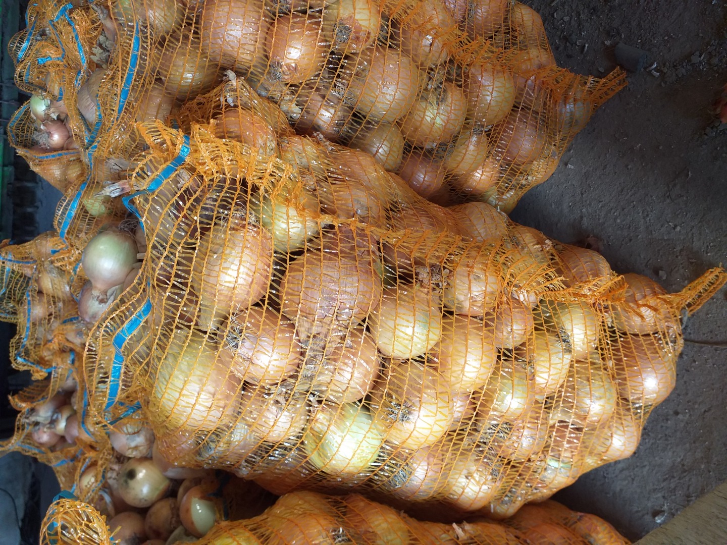 I will sell onion, larger than 4.5 cm, 15 kg bag / 8 PLN big bag 0.50 price to be agreed