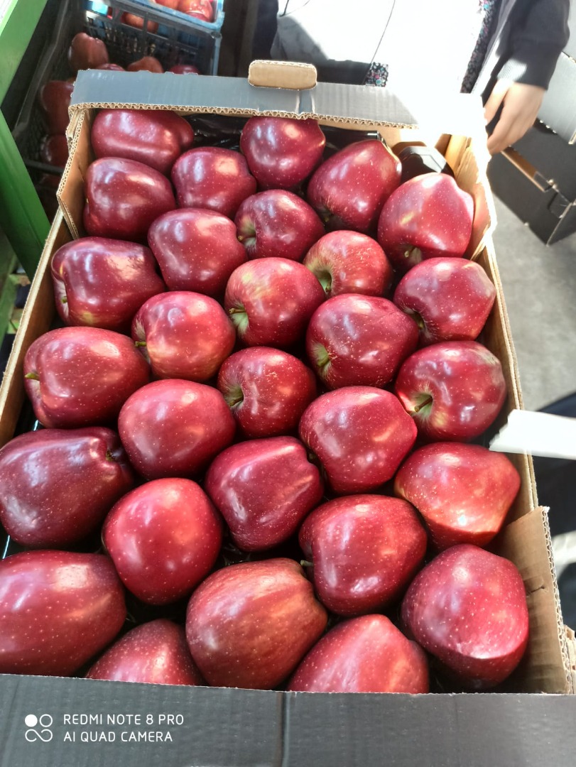 Sales of different varieties of apples from Turkey began, sizes from 65 caliber and above
