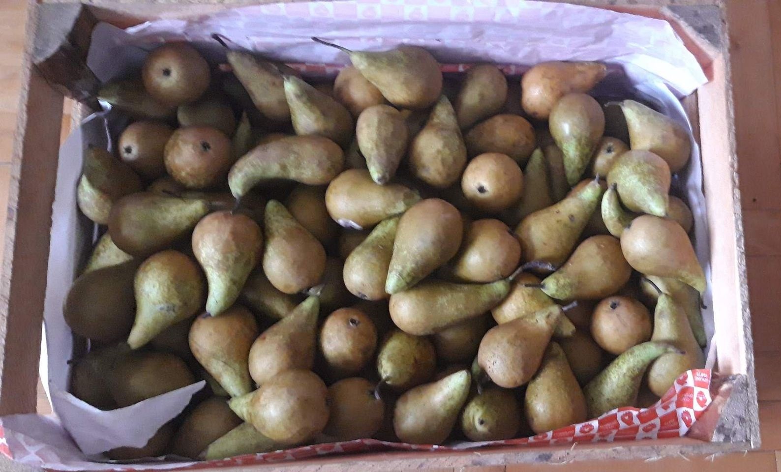 We sell pears from the producer