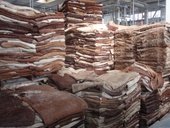 DONKEY HIDES Animal Skins And Hides Add a touch of the wild with our soft tanned Real Animal Skins and Hides for animal skin rugs, furniture throws and wall