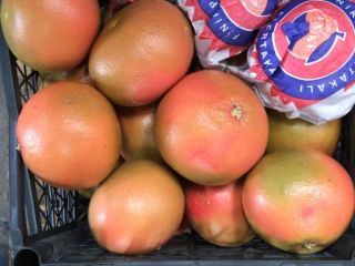 sale of grapefruit from Turkey Delivery directly from the