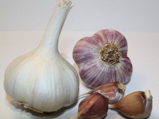 Fresh garlic of the Lyubasha variety. German cultivation! Lyubasha