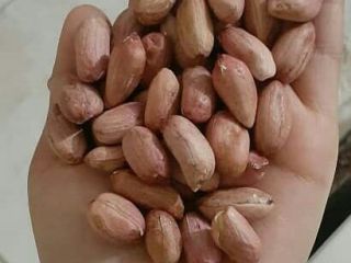 Sell very good quality peanuts.