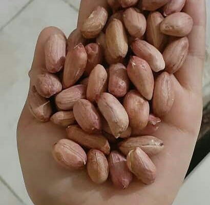 Sell very good quality peanuts