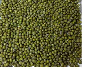 Sell mung bean sorted and cleaned