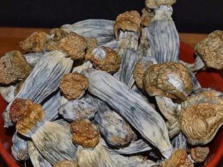 Contact on wickr Wickr.... califo20
