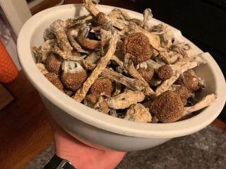 Magicmushrooms available Golden teacher Albino Penis envy Wickr..... califo20