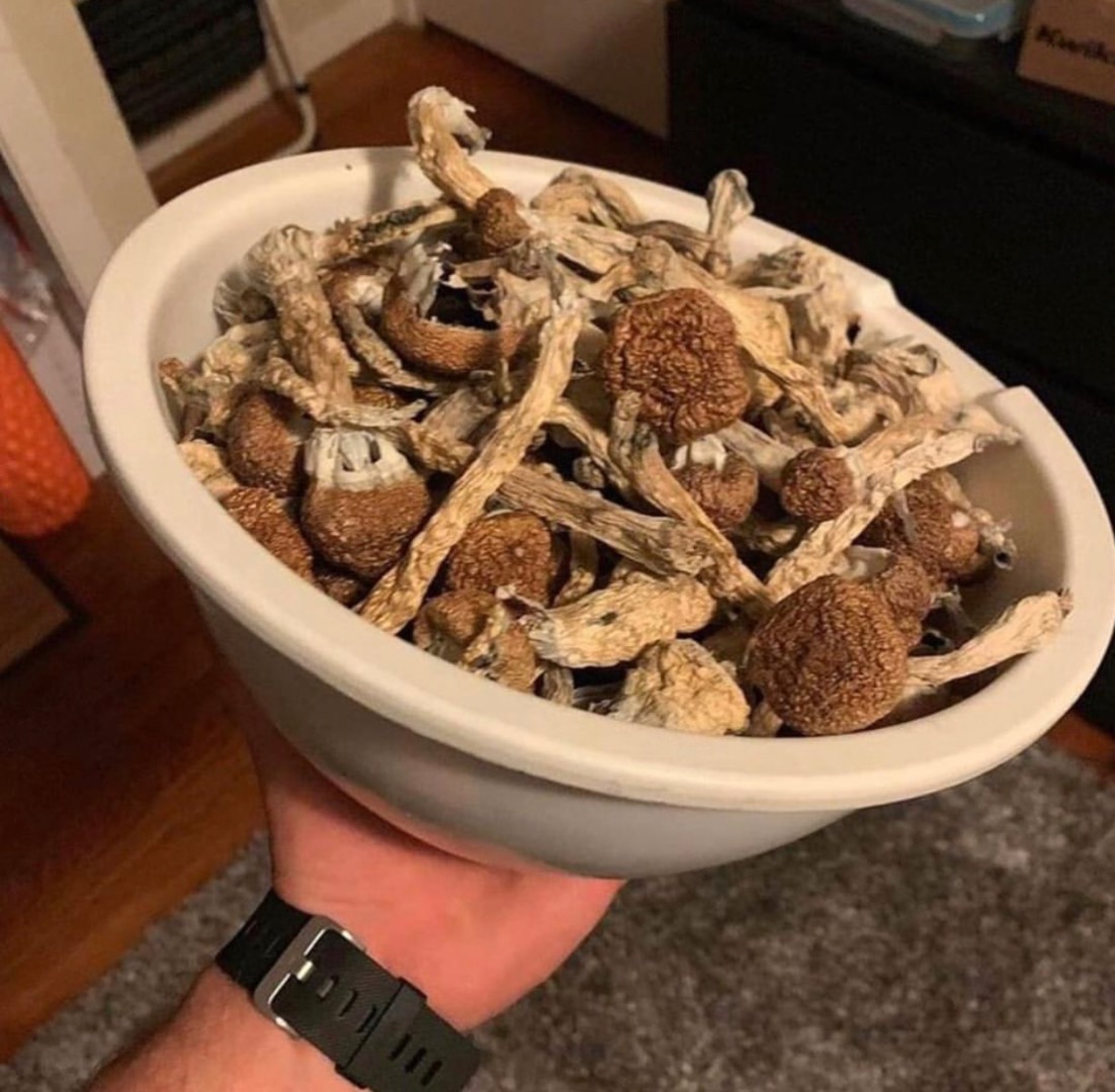 Magicmushrooms available Golden teacher Albino Penis envy Wickr....