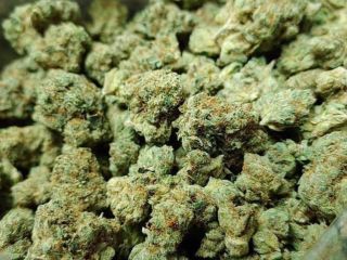 Too quality medical marijuana available Wickr.... califo20 Wickr..... califo20