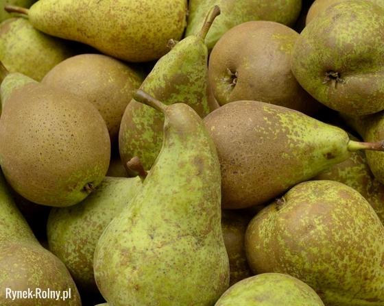 "Conference" pear juicy, very tasty