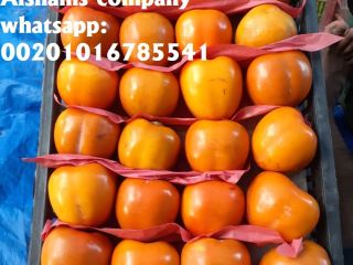 we sell dried lemon with high quality from egypt