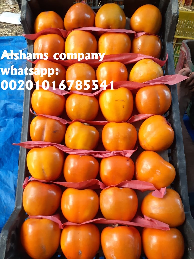 we sell dried lemon with high quality from egypt mrs donia