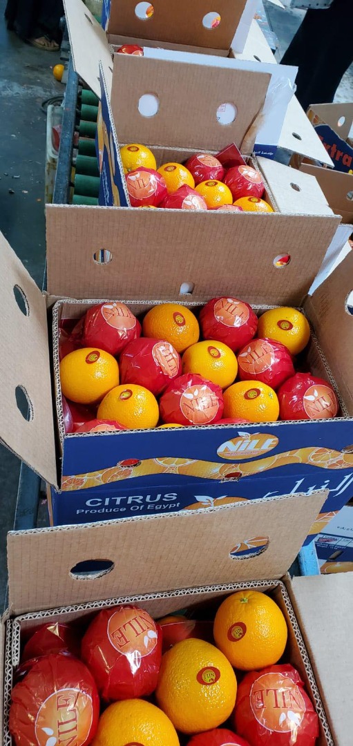 Fresh Navel Oranges for sale from egypt We have '42' ' 56' ' 64' ' 72' mm caliber packaging is available in 8kg or 15kg