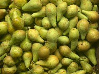 Fresh good quality pears from NL ,size 70+ most