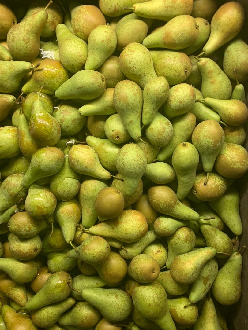 Fresh good quality pears from NL ,size 70+ most 75+.Packaging wooden boxes