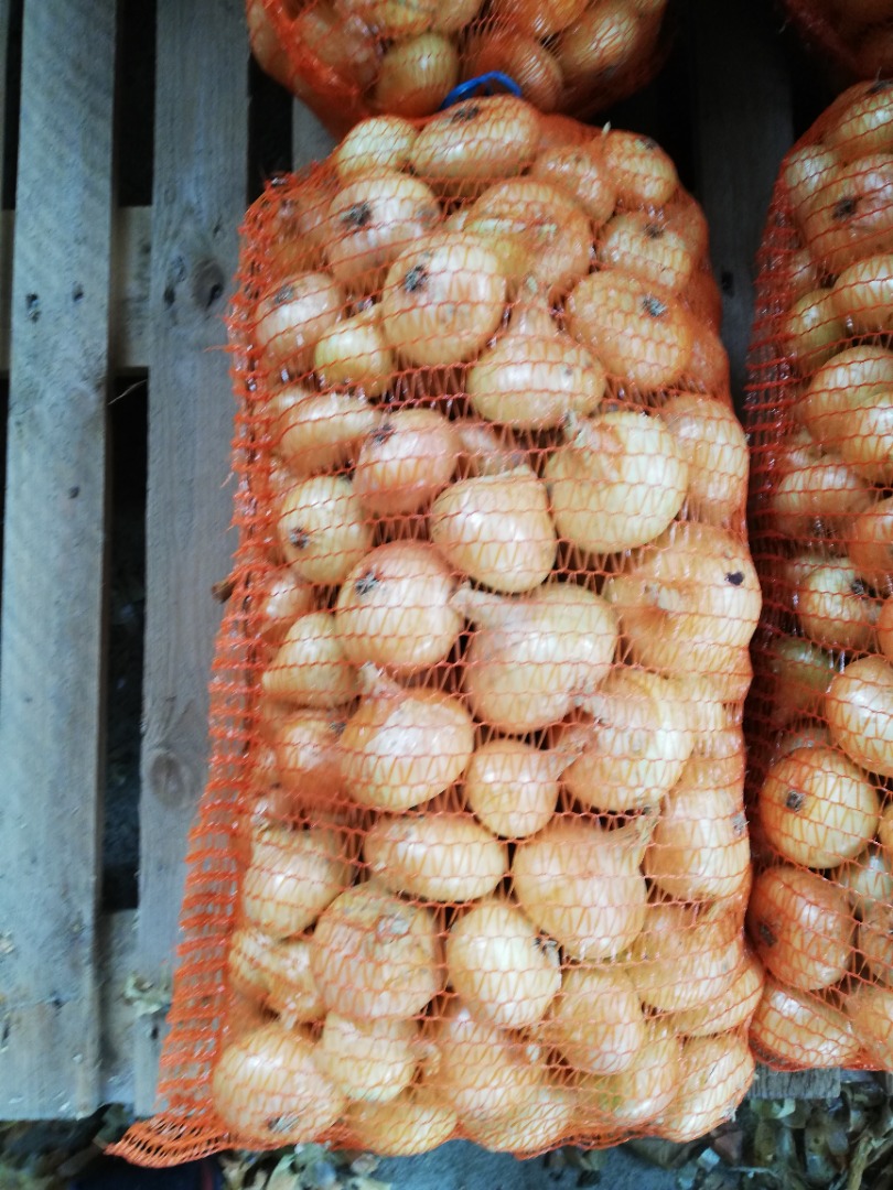 I am selling Romanian, yellow onions