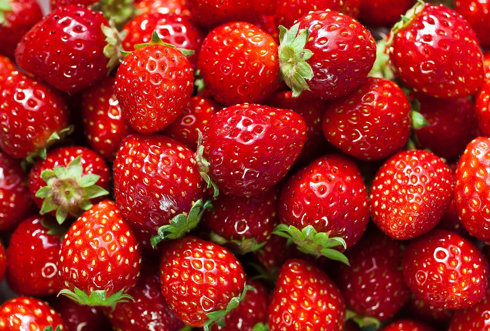 Selling High Quality Frozen Strawberries from Romania 2020 crop