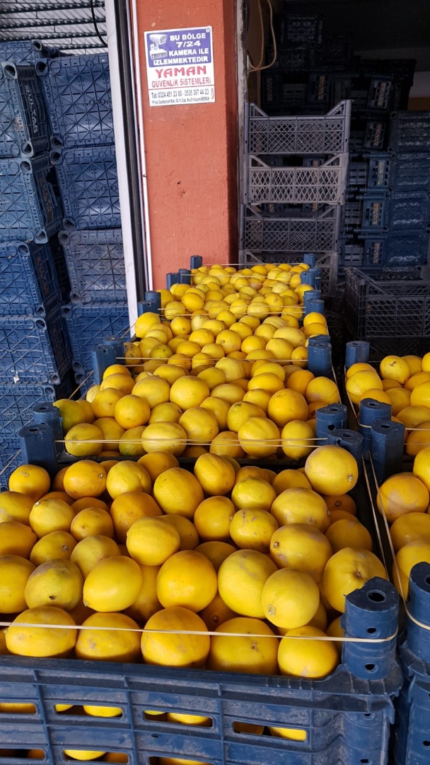 Selling in tons of fruits of 3 qualities for the production of juices or bazaars