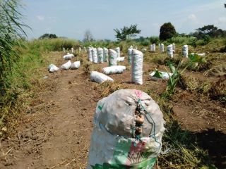 We are small agricultural group looking for investor to